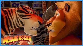 The Crew Join the Circus  Extended Preview  DreamWorks Madagascar
