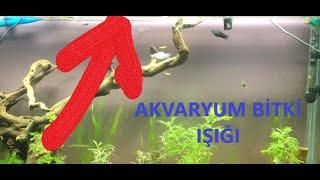 Akvaryum Bitki Işığı Alırken Dikkat Edilmesi Gerekenler  Akvarvaryum Bitki Işıklarımız Geldi