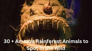 30 + Amazon Rainforest Animals to Spot in the Wild