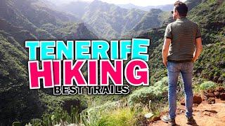 Tenerife Hiking Guide - Top 3 Best Hikes & Trails to Explore for Nature Lovers  Canary Islands