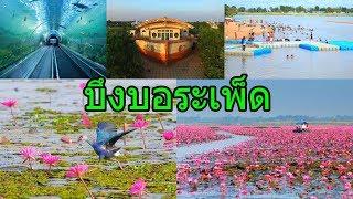 บึงบอระเพ็ด สถานที่ท่องเที่ยวนครสวรรค์  Travel Thailand