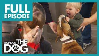 Victoria Shocked by Family Abusing their Dog  Full Episode  Its Me or The Dog