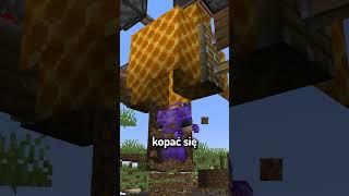 NAJLEPSZA PUŁAPKA w MINECRAFT