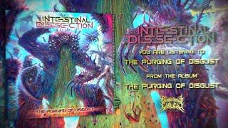 INTESTINAL DISSECTION - THE PURGING OF DISGUST OFFICIAL LYRIC VIDEO 2024 SW EXCLUSIVE