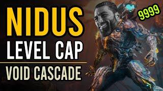 Nidus Prime level Cap Build  Void Cascade Warframe