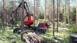 Komatsu 901xc summer logging