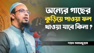 অন্যের গাছের কুড়িয়ে পাওয়া ফল খাওয়া যাবে কিনা? শায়খ আহমাদুল্লাহ প্রশ্ন উত্তর