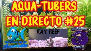 Platicando con el canal Kay Reef Adictos al Arrecife