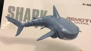 Remote control shark RC Shark unboxing and play around