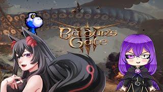 Baldurs Gate 3 Collab Are we done with the Above ground for now  Avarice Wolf Vtuber