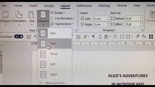 MS Word Tutorial How to switch between single and double columns in a Microsoft Word document