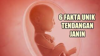 6 Fakta Unik Tendangan Janin dalam Kandungan