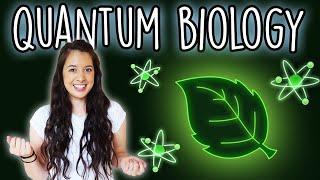 Quantum Biology Part 1 - How Plants Use Quantum Mechanics