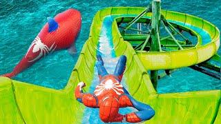 GTA 5 WATER SLIDES  Spiderman vs Spider Shark  Water Ragdolls Euphoria Physics