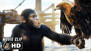 Eagle Hunt Scene  KINGDOM OF THE PLANET OF THE APES 2024 Movie CLIP HD