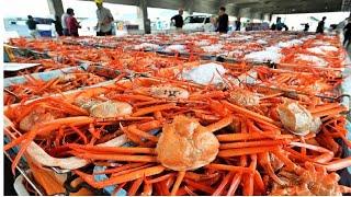 AMAZING King Crab Catching Discover The Fishing of Tons of Alaskan Red King Crab - Farming 4.0