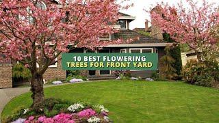 10 Best Flowering Trees for Front Yard 