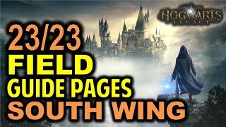 The South Wing All 23 Field Guide Pages Locations  Hogwarts Legacy