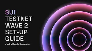 Sui Testnet Wave 2 Node Setup Guide Just a Single Command