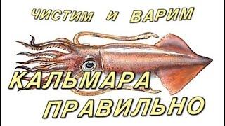 Кальмар чистим и варим правильно  how to clean and cook squid properly