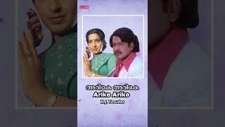 Arike Arike   K.J.Yesudas  Ilaiyaraaja  Hit Malayalam Film Song