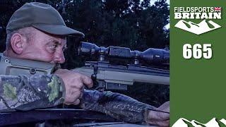 Fieldsports Britain – modern foxshooting