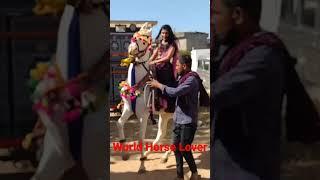 Indian Girl sitting on dancing horse#horsegirl #ghoda #horse #horses #horselover #ghodi #horseracing