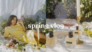 VLOG VALENTINO Luxury Picnic + the Best Donuts