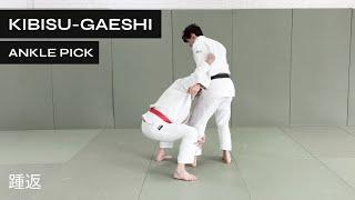 How to do Kibisu Gaeshi Traditional version  Ankle Pick  踵返