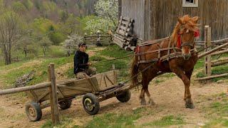 Far From Civilization Happy Hard Life of a Family in a Remote Mountain Village