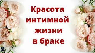 Красота интимной жизни в браке   П.Деркач   Беседы для семейных МСЦ ЕХБ