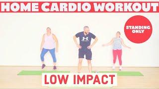 Low impact all standing CARDIO workout. Beginner Friendly.