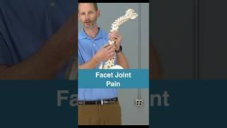 Facet Joint Pain Causes #spine #backpain