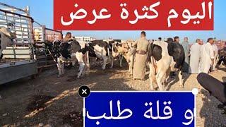 #بورصة_أسعار_المواشي في العراق اليوم  سوق مواشي محافظة ديالى