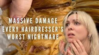 Every hairstylists NIGHTMARE Massive damage and how I handled it - Hair Melting Storytime Fail