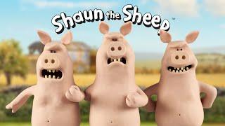  Shaun the Sheep Naughty Pigs Antics Best Bits Compilation for Kids 