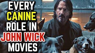 Every Dogs Role in John Wick Movies - Explored