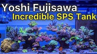 Yoshi Fujisawa Incredible SPS Reef Tank Everything You Need To Know Part 1