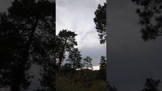 Colorado rocky mountain forest sunset time lapse #shorts