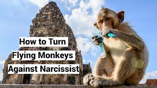 Smear Campaign Turn Narcissists Flying Monkeys Against HimHer