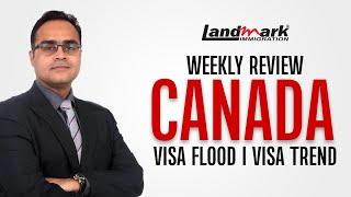 Canada Weekly Review Visa Rain I क्यों धड़ा धड़ आ रहे हैं वीज़ा   Jan & May Trend