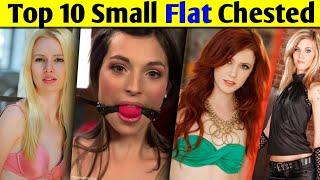 Top 10 Small Size & Flat Chested Lovestars