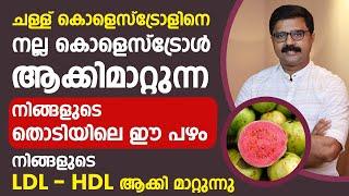 ചള്ള് കൊളെസ്ട്രോളിനെ LDL നല്ല കൊളെസ്ട്രോൾ ആക്കി മാറ്റുന്നHDL  തൊടിയിലെ ഈ പഴം cholestrol