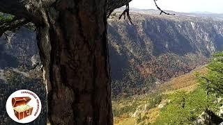 Дурмитор каньон реки Тара Чуревац Сушицы. Достопримечательности Черногории.