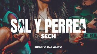 SAL Y PERREA REMIX SECH DJ ALEX