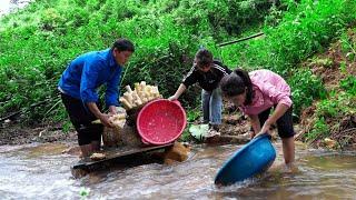 Go to the Forest to Harvest Bamboo Shoots Process and Sell at Market  Family Farm