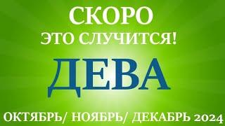 ДЕВА таро прогноз на ОКТЯБРЬ НОЯБРЬ ДЕКАБРЬ 2024 4 триместр года Главные события периода