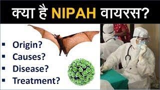 निपाह वायरस क्‍या है? What is Nipah Virus Origin Causes Treatment disease in kerala