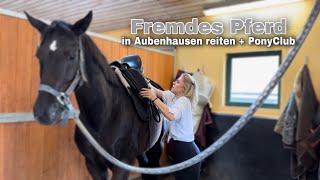 fremdes Pferd reiten & PonyClub Aubenhausen  Lea Jell