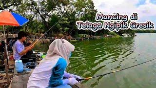 Mancing ikan nila liar dan ikan bandeng liar di Telaga Ngipik Gresik